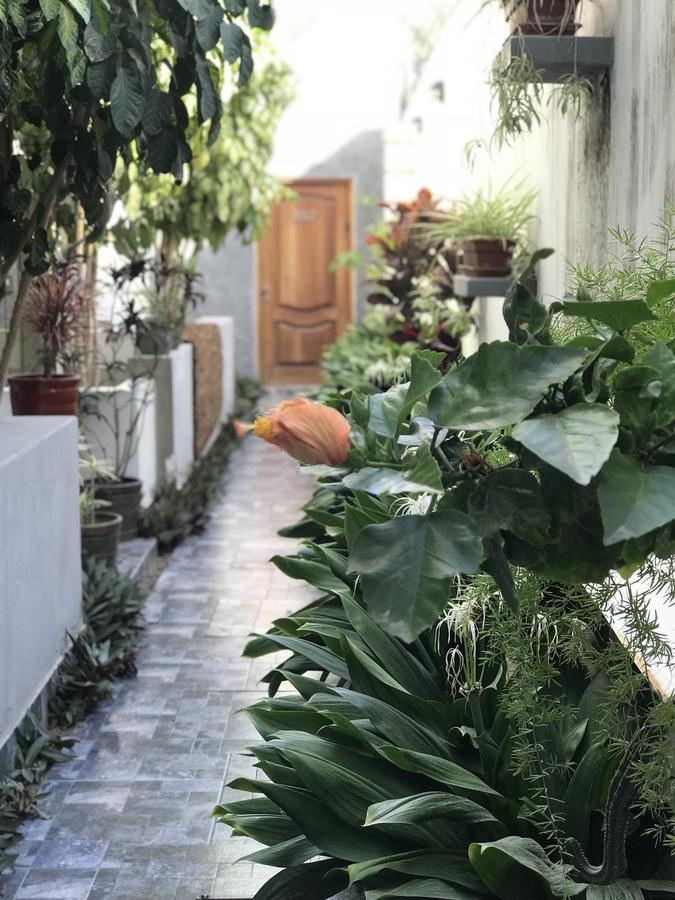 Apartamento Garden House Piura Exterior foto